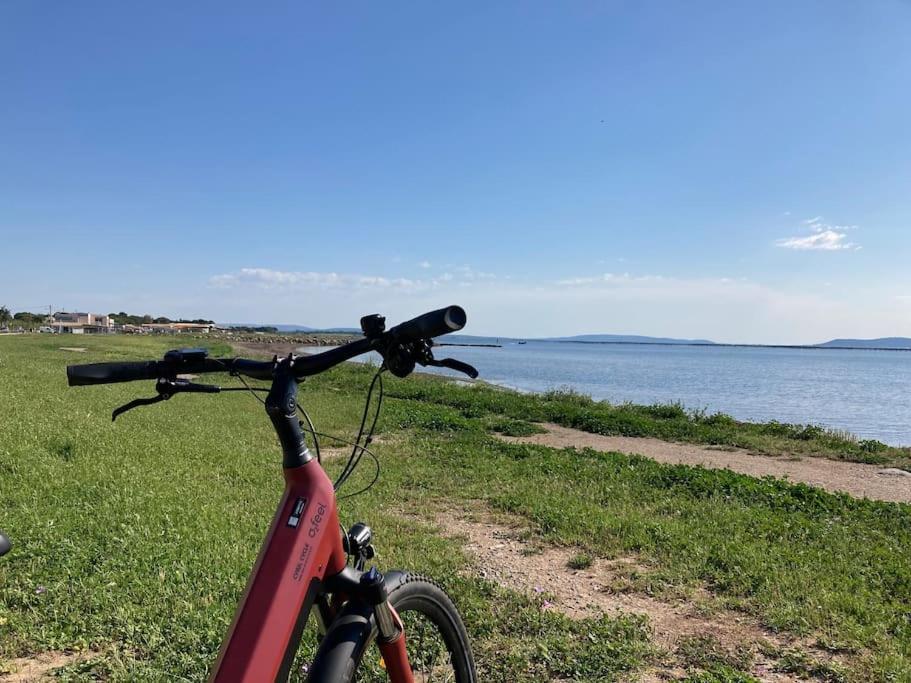 Lou Cameou Marseillan Kültér fotó